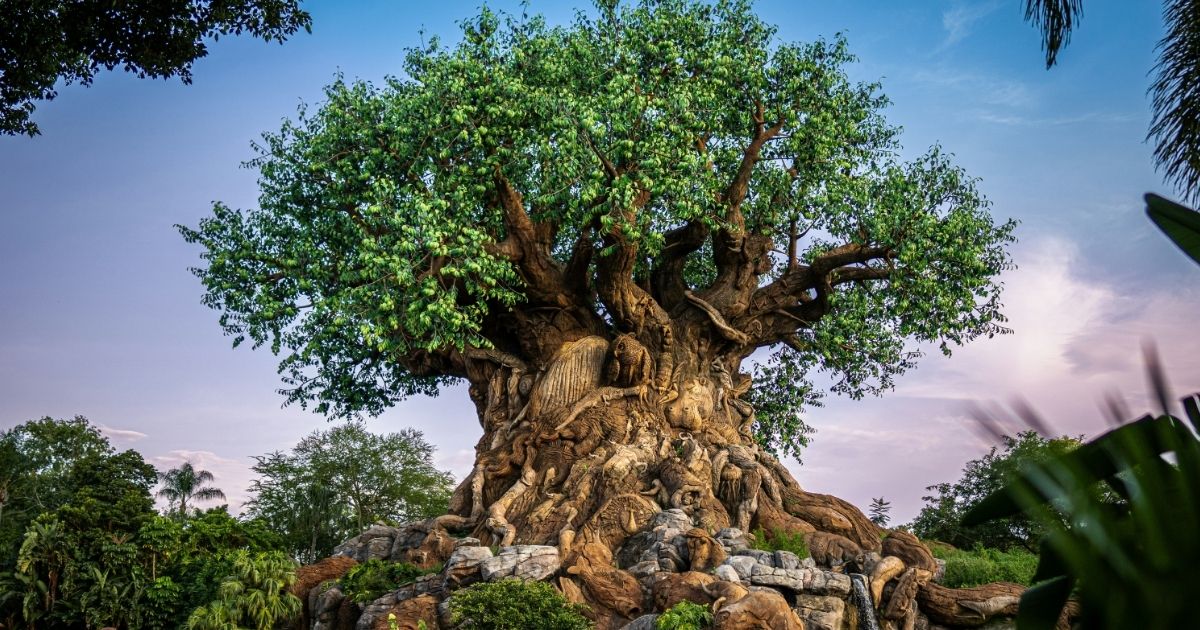 Animal Kingdom rides and tips guide for families 2026