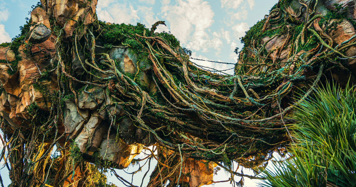 pandora world of avatar family guide